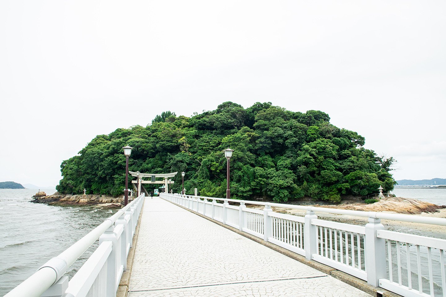 ⛩️ 야오토미 신사(야오토미진자) 이미지 6